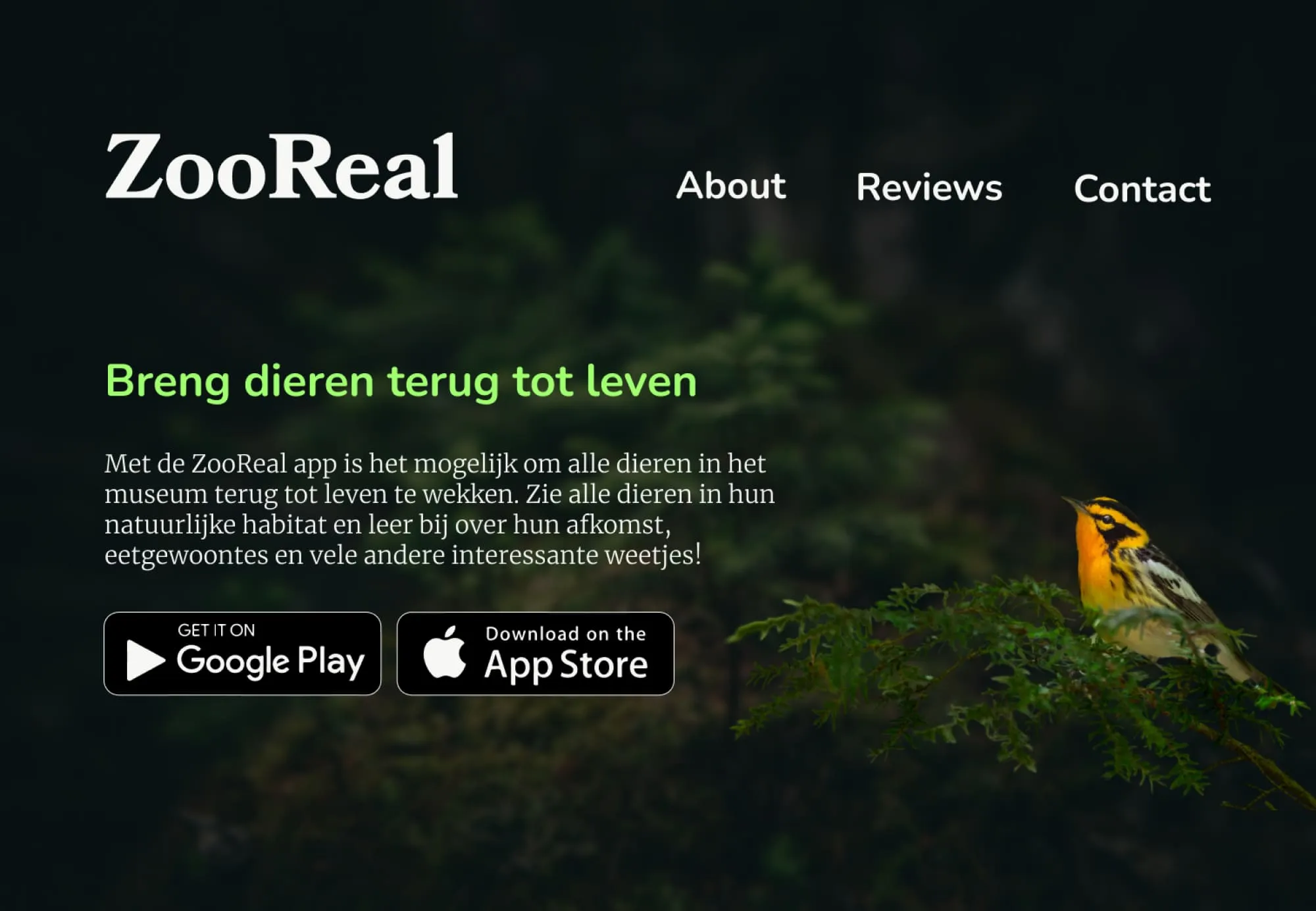 zooreal_screen